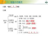 专题1.3 细胞中的糖类和脂质（课件）-2025年高考生物一轮复习考点归类（新高考通用）