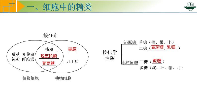 专题1.3 细胞中的糖类和脂质（课件）-2025年高考生物一轮复习考点归类（新高考通用）06