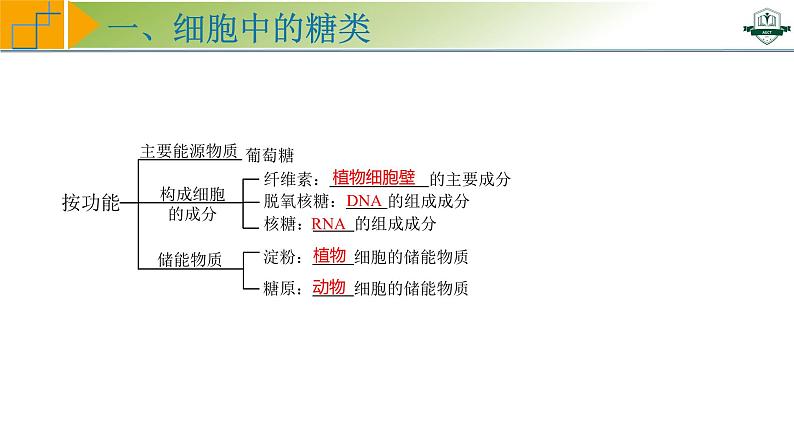 专题1.3 细胞中的糖类和脂质（课件）-2025年高考生物一轮复习考点归类（新高考通用）07