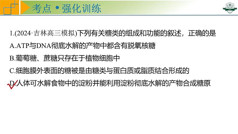 专题1.3 细胞中的糖类和脂质（课件）-2025年高考生物一轮复习考点归类（新高考通用）08