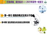 专题1.4 蛋白质是生命活动的主要承担者（课件）-2025年高考生物一轮复习考点归类（新高考通用）