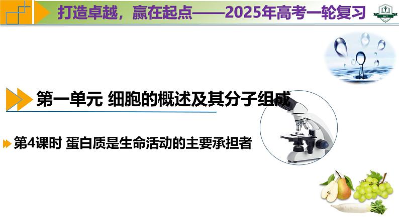 专题1.4 蛋白质是生命活动的主要承担者（课件）-2025年高考生物一轮复习考点归类（新高考通用）01