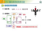 专题1.4 蛋白质是生命活动的主要承担者（课件）-2025年高考生物一轮复习考点归类（新高考通用）