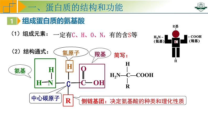 专题1.4 蛋白质是生命活动的主要承担者（课件）-2025年高考生物一轮复习考点归类（新高考通用）05