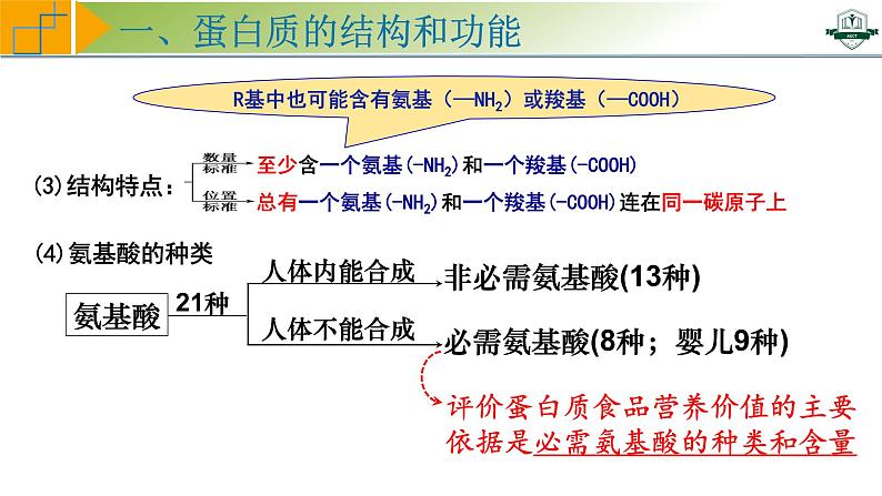 专题1.4 蛋白质是生命活动的主要承担者（课件）-2025年高考生物一轮复习考点归类（新高考通用）06