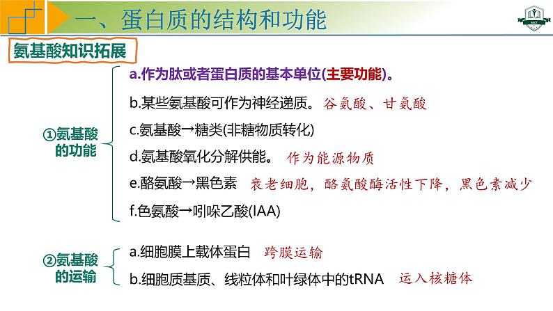 专题1.4 蛋白质是生命活动的主要承担者（课件）-2025年高考生物一轮复习考点归类（新高考通用）07