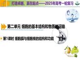 专题2.1 细胞膜与细胞核的结构和功能（课件）-2025年高考生物一轮复习考点归类（新高考通用）