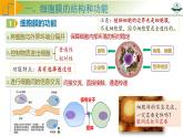 专题2.1 细胞膜与细胞核的结构和功能（课件）-2025年高考生物一轮复习考点归类（新高考通用）