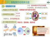专题2.1 细胞膜与细胞核的结构和功能（课件）-2025年高考生物一轮复习考点归类（新高考通用）