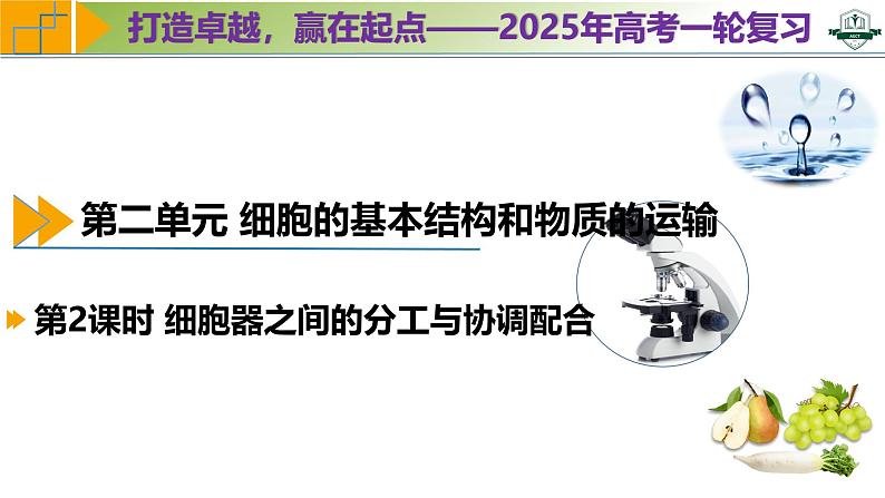 专题2.2 细胞器之间的分工与协调配合（课件）-2025年高考生物一轮复习考点归类（新高考通用）01