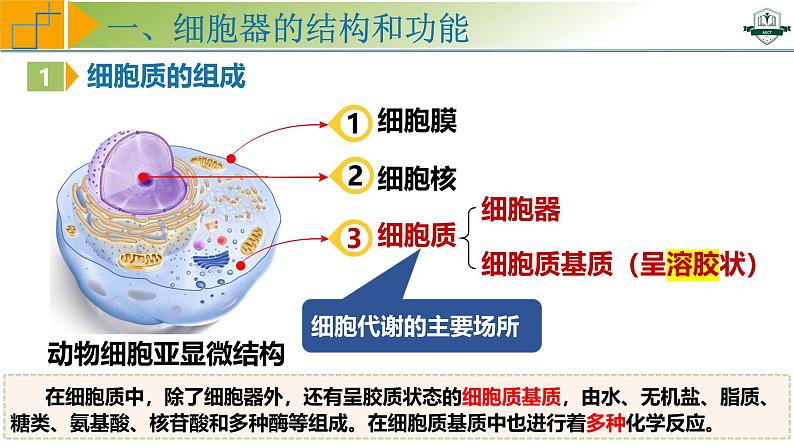 专题2.2 细胞器之间的分工与协调配合（课件）-2025年高考生物一轮复习考点归类（新高考通用）05