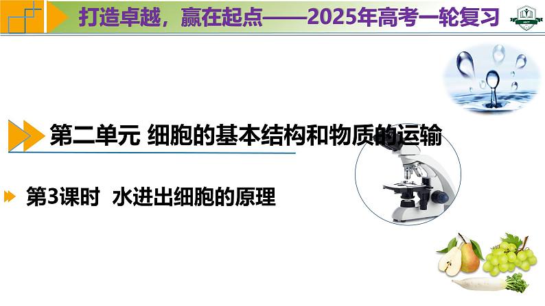 专题2.3 水进出细胞的原理（课件）-2025年高考生物一轮复习考点归类（新高考通用）01