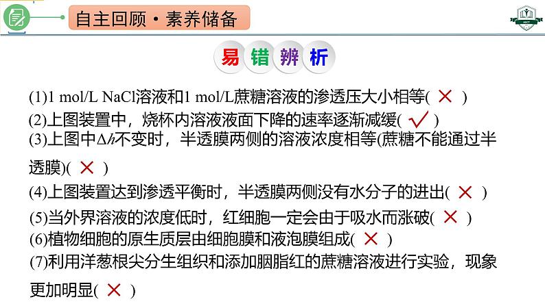 专题2.3 水进出细胞的原理（课件）-2025年高考生物一轮复习考点归类（新高考通用）03