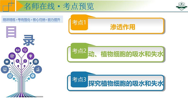 专题2.3 水进出细胞的原理（课件）-2025年高考生物一轮复习考点归类（新高考通用）04