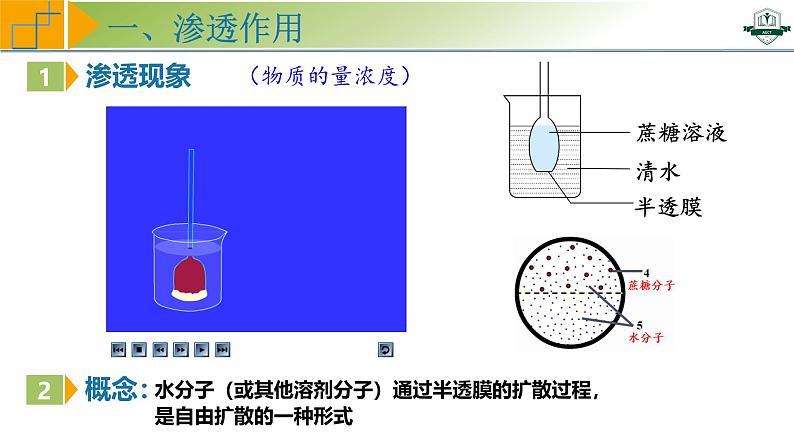 专题2.3 水进出细胞的原理（课件）-2025年高考生物一轮复习考点归类（新高考通用）05