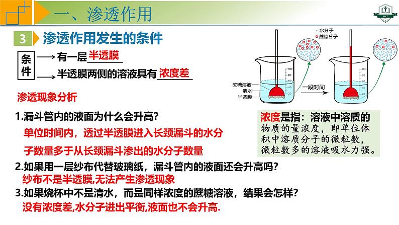 专题2.3 水进出细胞的原理（课件）-2025年高考生物一轮复习考点归类（新高考通用）06