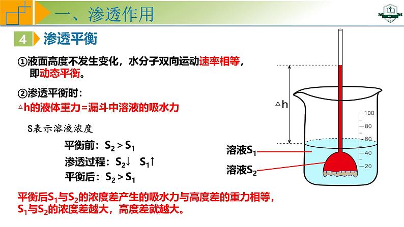 专题2.3 水进出细胞的原理（课件）-2025年高考生物一轮复习考点归类（新高考通用）07