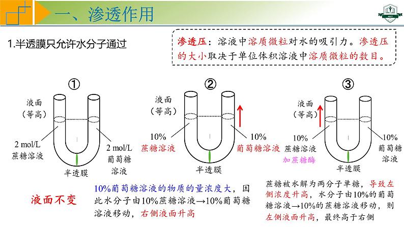 专题2.3 水进出细胞的原理（课件）-2025年高考生物一轮复习考点归类（新高考通用）08