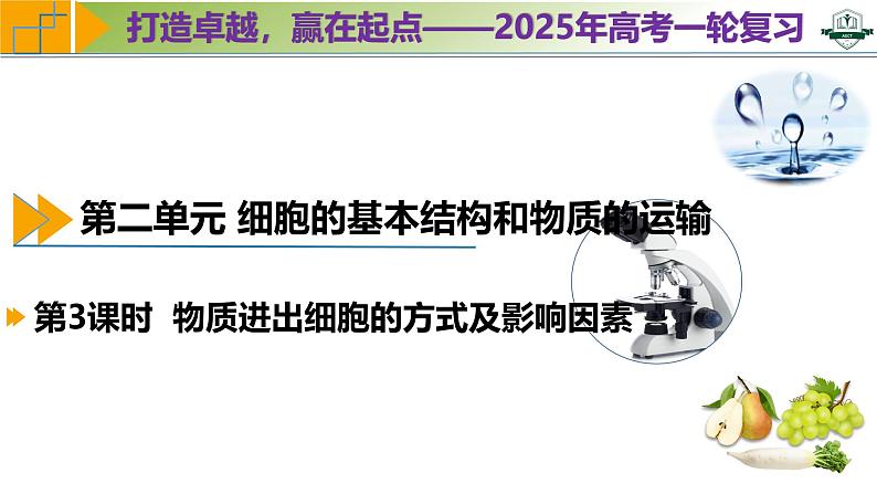 专题2.4 物质进出细胞的方式及影响因素（课件）-2025年高考生物一轮复习考点归类（新高考通用）01