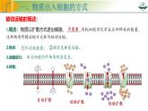 专题2.4 物质进出细胞的方式及影响因素（课件）-2025年高考生物一轮复习考点归类（新高考通用）
