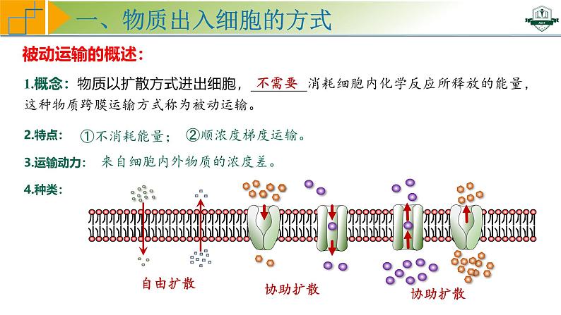 专题2.4 物质进出细胞的方式及影响因素（课件）-2025年高考生物一轮复习考点归类（新高考通用）05