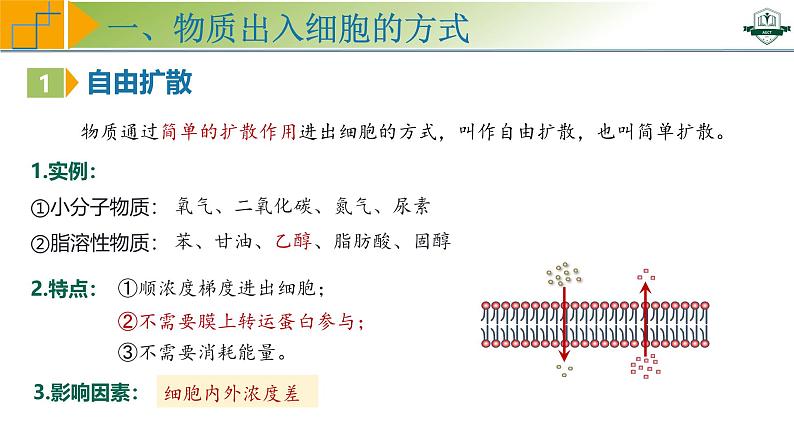 专题2.4 物质进出细胞的方式及影响因素（课件）-2025年高考生物一轮复习考点归类（新高考通用）06