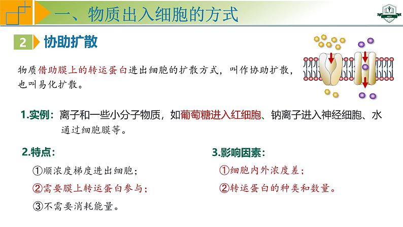 专题2.4 物质进出细胞的方式及影响因素（课件）-2025年高考生物一轮复习考点归类（新高考通用）08