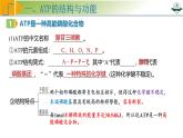 专题3.2 细胞的能量“货币”ATP（课件）-2025年高考生物一轮复习考点归类（新高考通用）