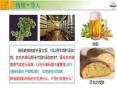 专题3.3 细胞呼吸的原理与过程（课件）-2025年高考生物一轮复习考点归类（新高考通用）