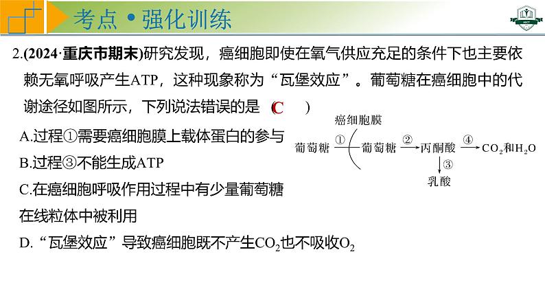 专题3.4 细胞呼吸方式的判断与影响因素及其应用（课件）-2025年高考生物一轮复习考点归类（新高考通用）08