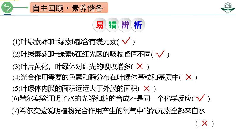 专题3.5 捕获光能的色素和结构及光合作用的原理探索（课件）-2025年高考生物一轮复习考点归类（新高考通用）第3页