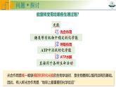 专题3.5 捕获光能的色素和结构及光合作用的原理探索（课件）-2025年高考生物一轮复习考点归类（新高考通用）