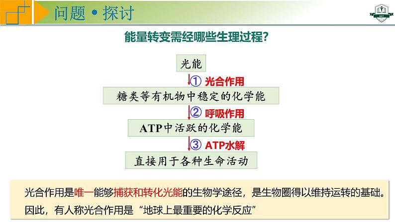 专题3.5 捕获光能的色素和结构及光合作用的原理探索（课件）-2025年高考生物一轮复习考点归类（新高考通用）第4页