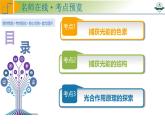专题3.5 捕获光能的色素和结构及光合作用的原理探索（课件）-2025年高考生物一轮复习考点归类（新高考通用）