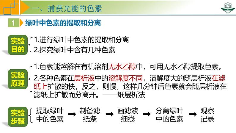 专题3.5 捕获光能的色素和结构及光合作用的原理探索（课件）-2025年高考生物一轮复习考点归类（新高考通用）第6页