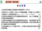 专题3.6 光合作用的原理与影响因素及其应用（课件）-2025年高考生物一轮复习考点归类（新高考通用）