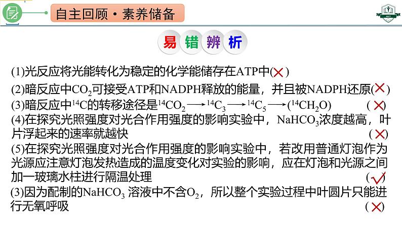 专题3.6 光合作用的原理与影响因素及其应用（课件）-2025年高考生物一轮复习考点归类（新高考通用）第2页