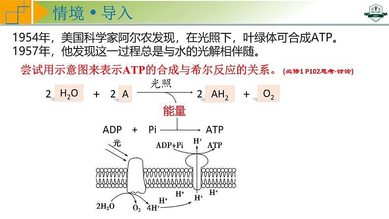 专题3.6 光合作用的原理与影响因素及其应用（课件）-2025年高考生物一轮复习考点归类（新高考通用）第3页