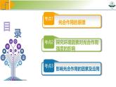 专题3.6 光合作用的原理与影响因素及其应用（课件）-2025年高考生物一轮复习考点归类（新高考通用）