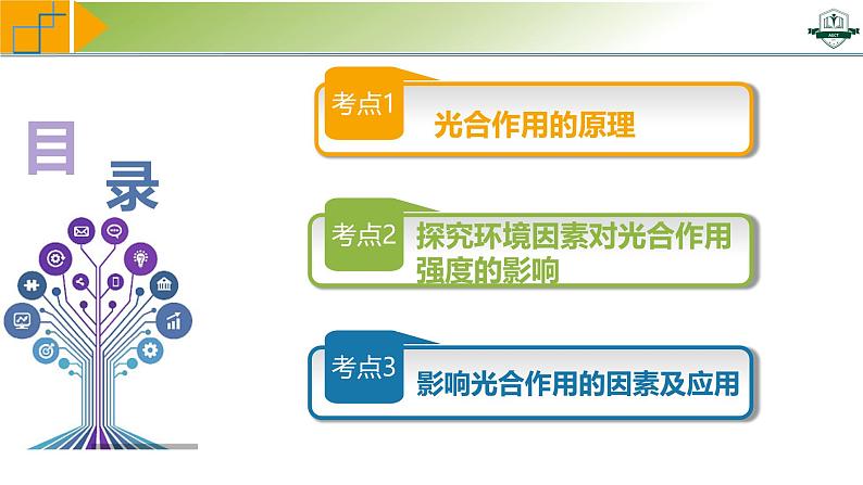 专题3.6 光合作用的原理与影响因素及其应用（课件）-2025年高考生物一轮复习考点归类（新高考通用）第4页