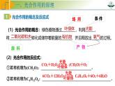 专题3.6 光合作用的原理与影响因素及其应用（课件）-2025年高考生物一轮复习考点归类（新高考通用）