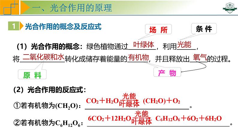 专题3.6 光合作用的原理与影响因素及其应用（课件）-2025年高考生物一轮复习考点归类（新高考通用）第5页