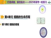专题4.1 细胞的增殖（课件）-2025年高考生物一轮复习考点归类（新高考通用）