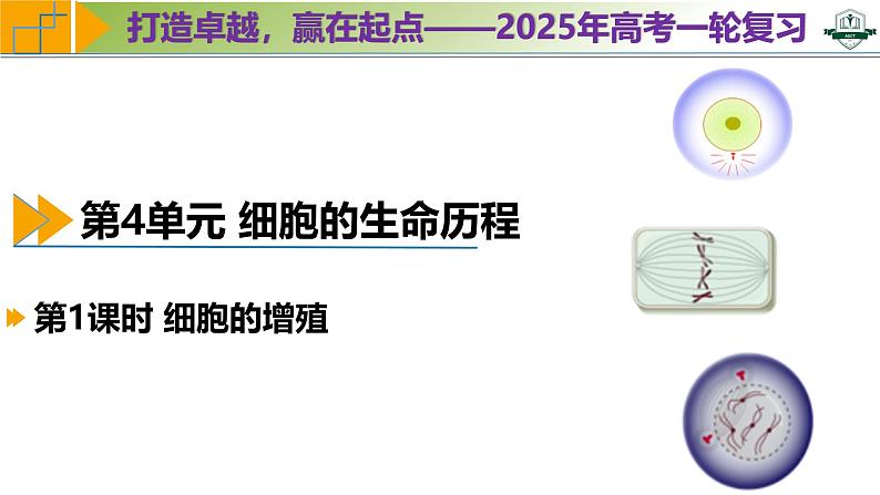 专题4.1 细胞的增殖（课件）-2025年高考生物一轮复习考点归类（新高考通用）01