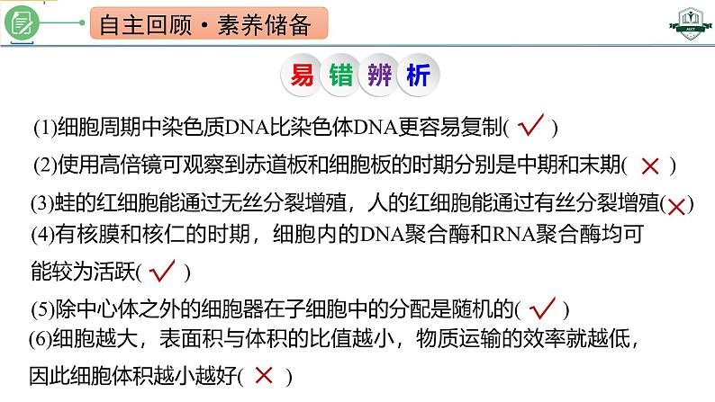 专题4.1 细胞的增殖（课件）-2025年高考生物一轮复习考点归类（新高考通用）03