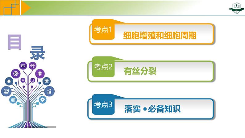 专题4.1 细胞的增殖（课件）-2025年高考生物一轮复习考点归类（新高考通用）04