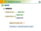 专题4.1 细胞的增殖（课件）-2025年高考生物一轮复习考点归类（新高考通用）