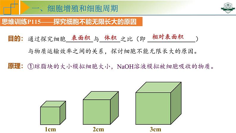 专题4.1 细胞的增殖（课件）-2025年高考生物一轮复习考点归类（新高考通用）06
