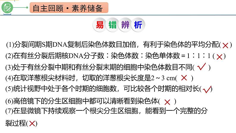 专题4.2 有丝分裂过程中相关变化及观察实验（课件）-2025年高考生物一轮复习考点归类（新高考通用）第2页