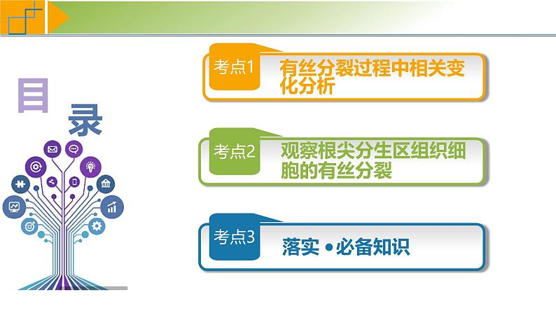 专题4.2 有丝分裂过程中相关变化及观察实验（课件）-2025年高考生物一轮复习考点归类（新高考通用）第3页